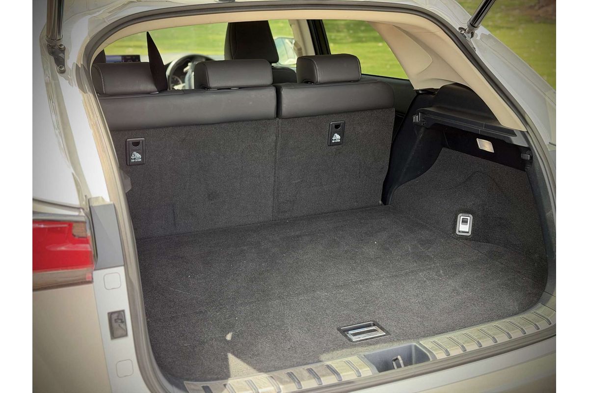 2021 Lexus NX NX300 Luxury AGZ15R