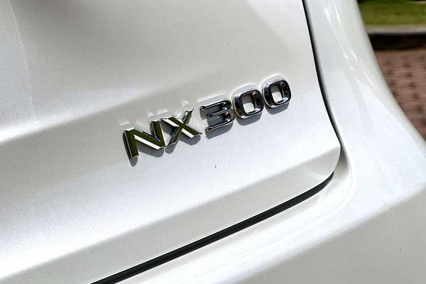 2021 Lexus NX NX300 Luxury AGZ15R