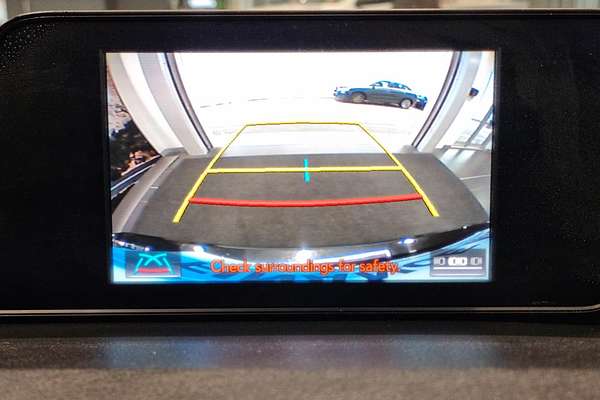 2018 Lexus RX RX300 Luxury AGL20R