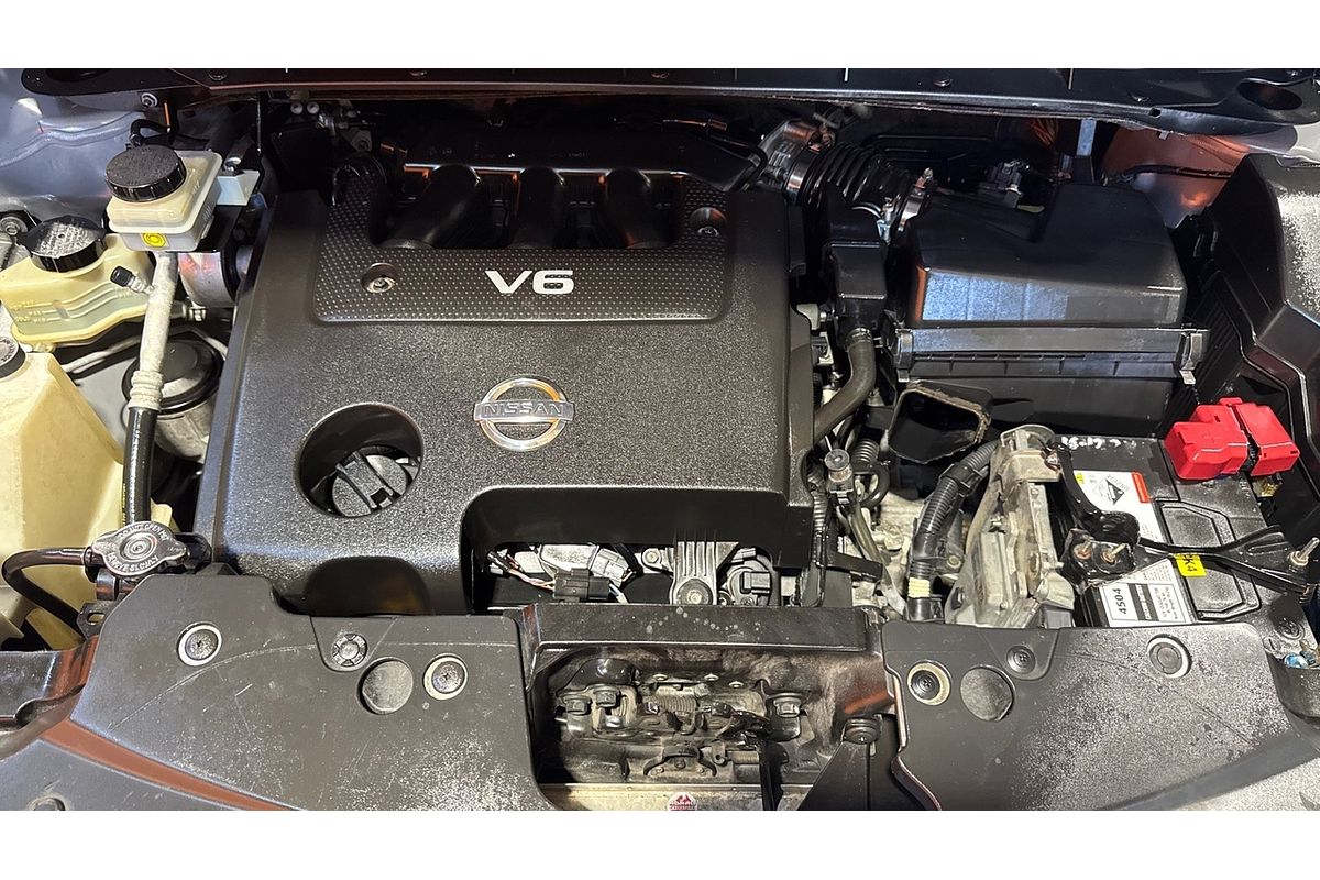 2010 Nissan Murano Ti Z51