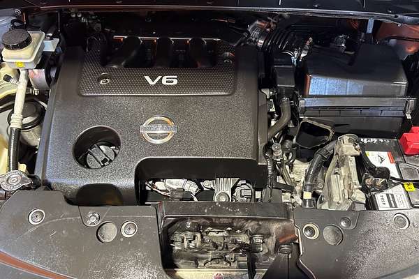 2010 Nissan Murano Ti Z51