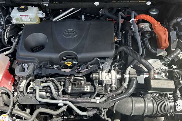 2019 Toyota RAV4 GXL AXAH54R