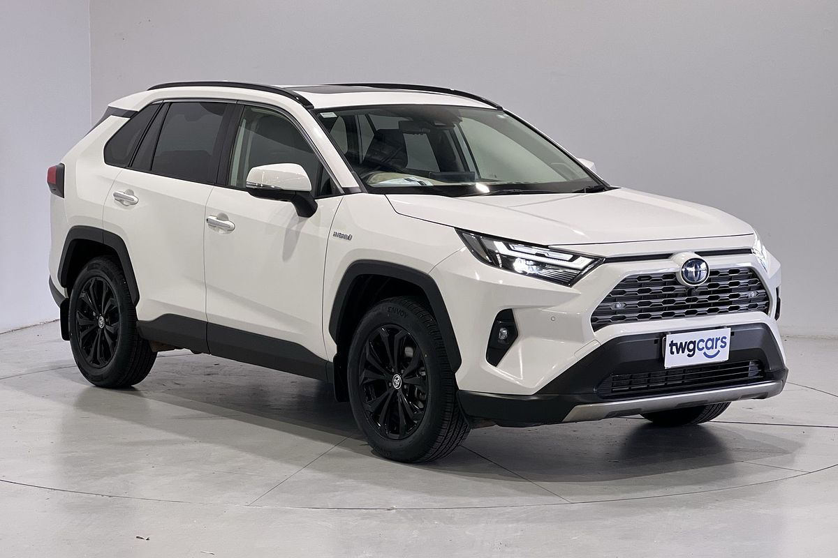 2022 Toyota RAV4 Cruiser AXAH52R