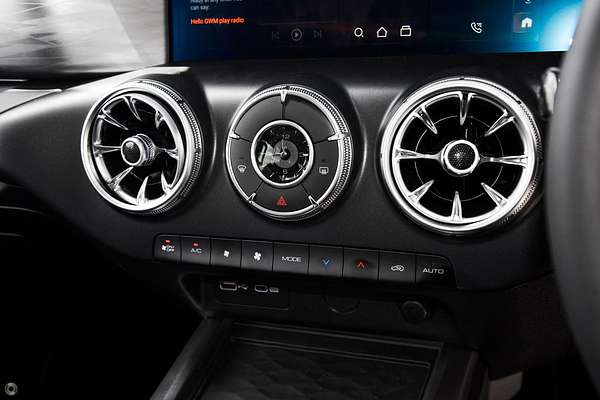 2025 GWM Tank 300 Lux P01