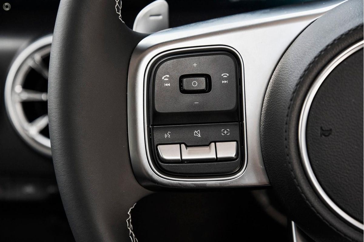 2025 GWM Tank 300 Lux P01