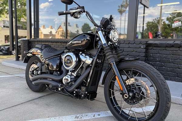 2025 Harley-Davidson Street Bob 117 (FXBB) Softail