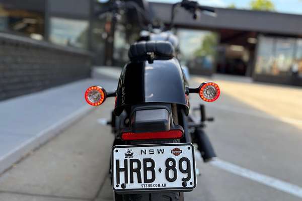 2025 Harley-Davidson Street Bob 117 (FXBB) Softail