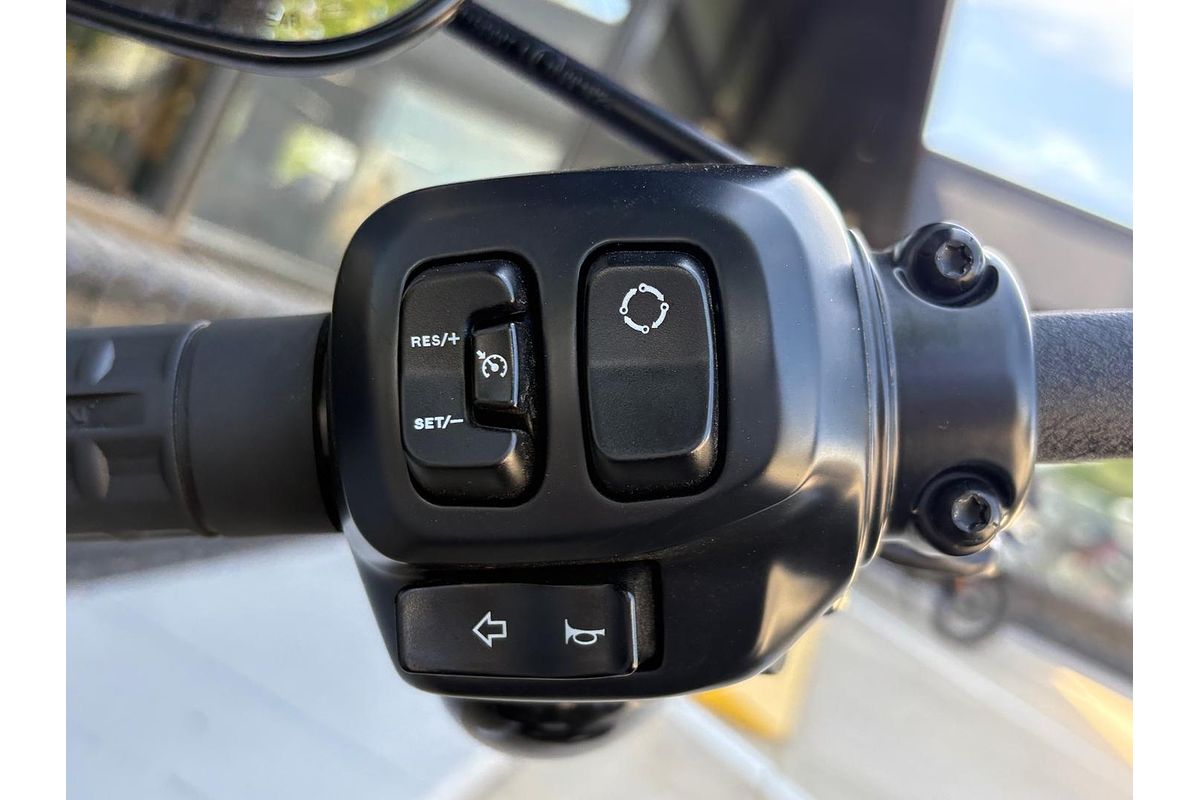 2025 Harley-Davidson Street Bob 117 (FXBB) Softail