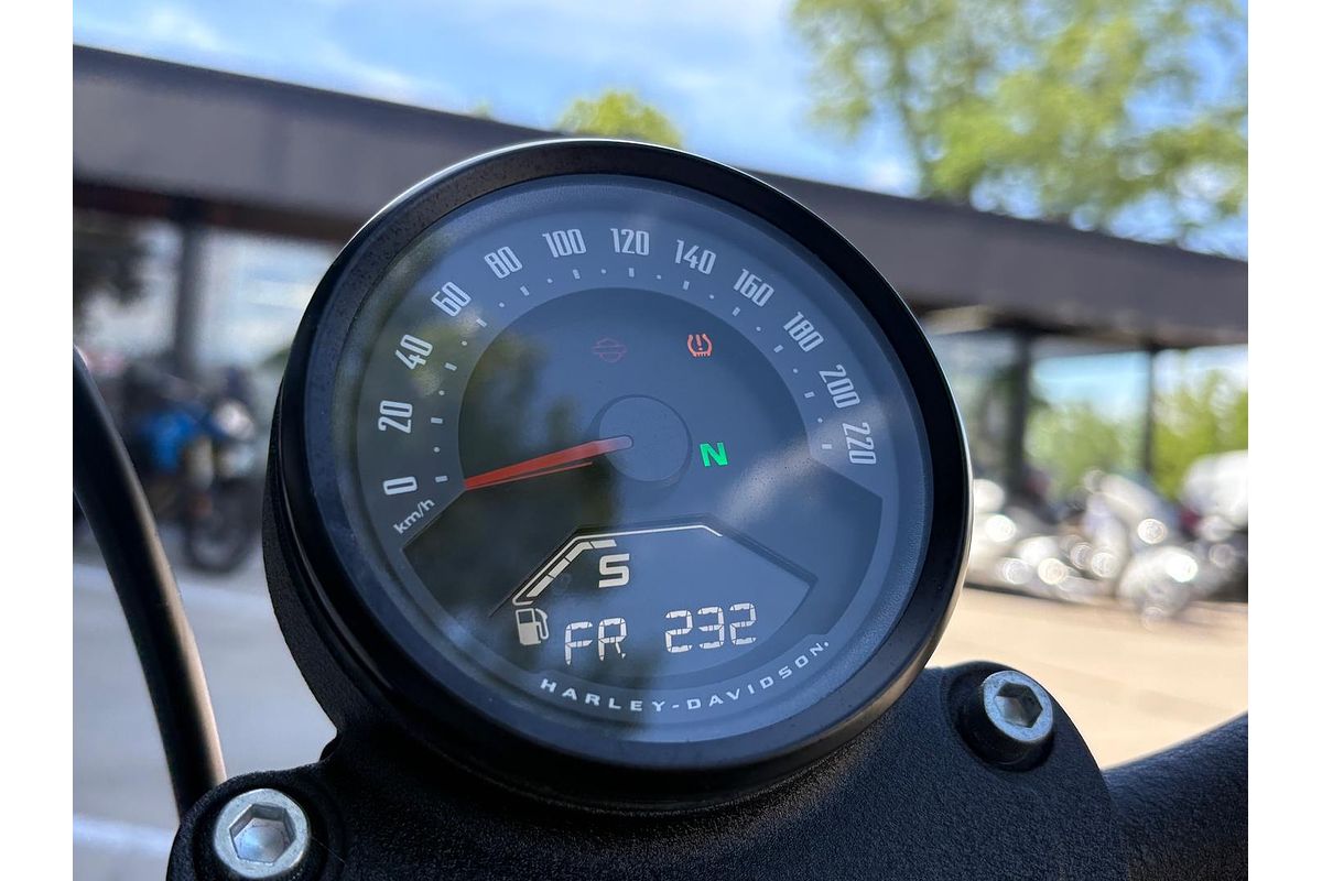 2025 Harley-Davidson Street Bob 117 (FXBB) Softail