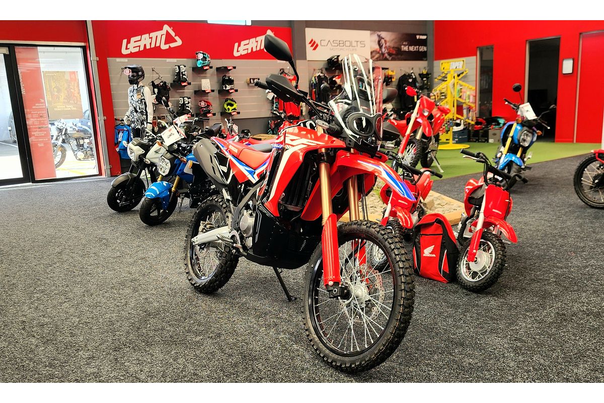 2023 Honda CRF300L RALLY