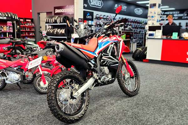 2023 Honda CRF300L RALLY