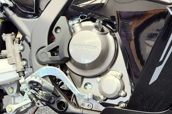 2023 Honda CRF300L RALLY