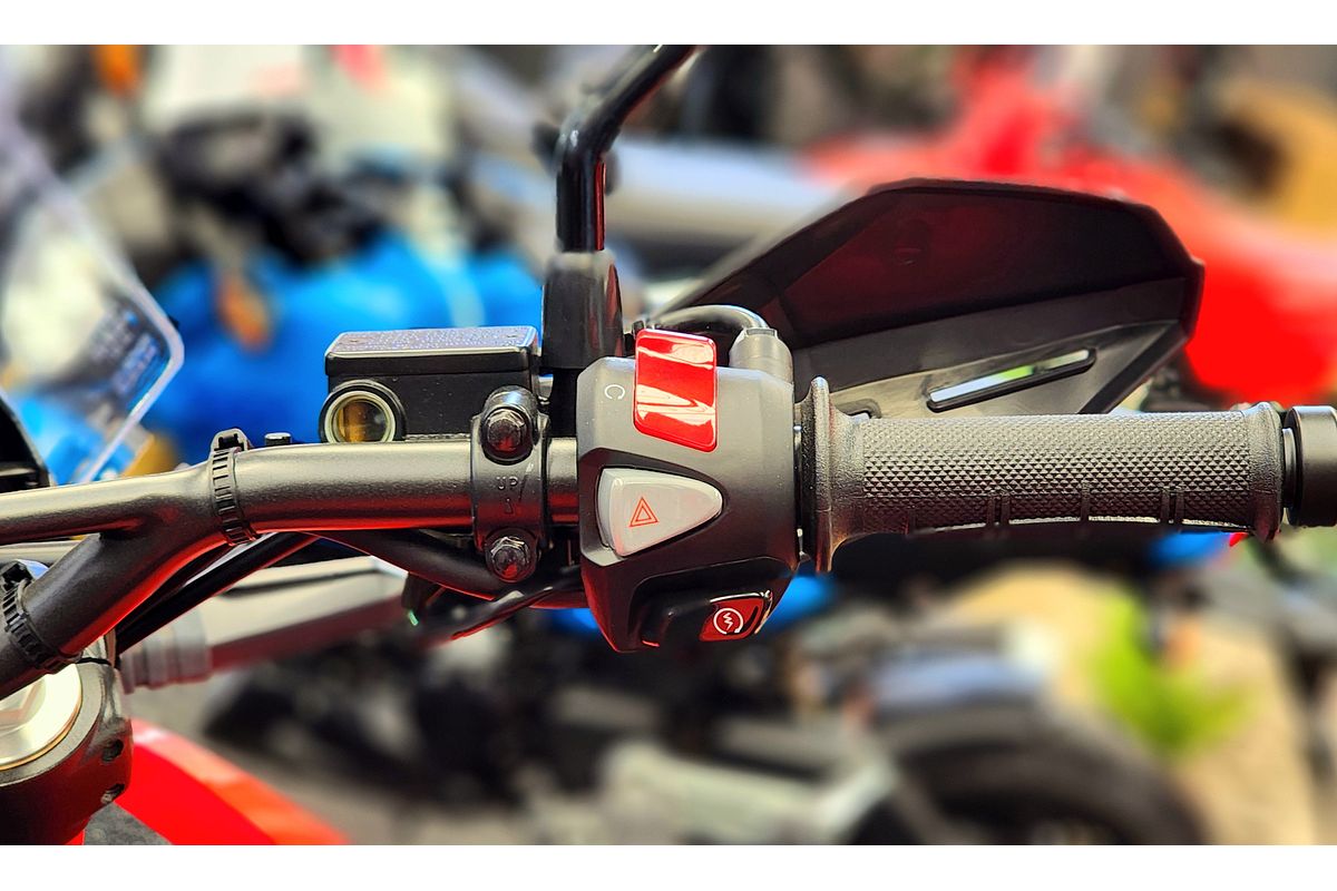 2023 Honda CRF300L RALLY