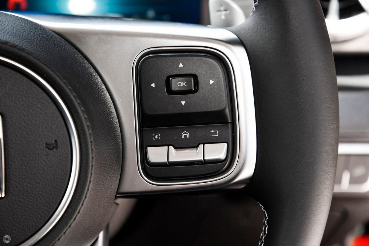 2025 GWM Tank 300 Lux P01