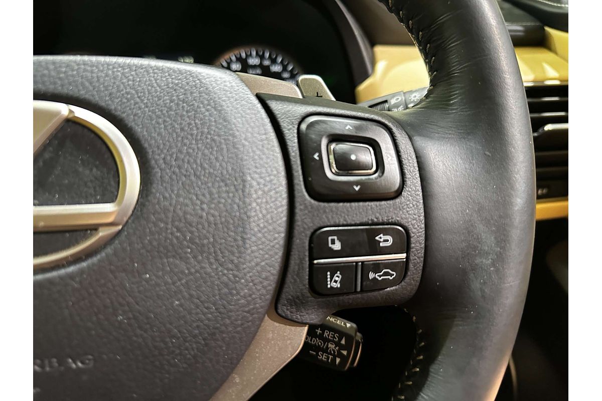 2017 Lexus NX NX300 Sports Luxury AGZ15R