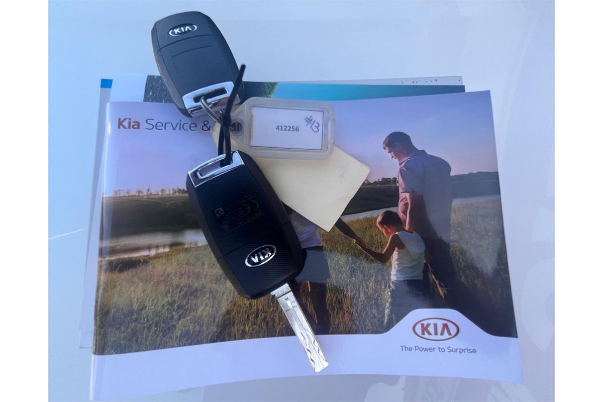 2017 Kia Carnival S YP