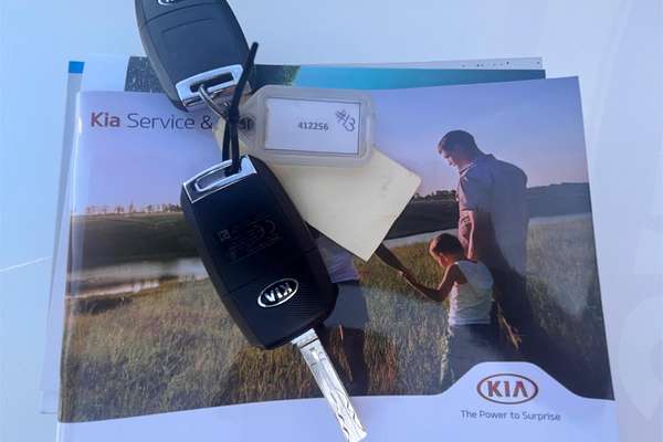 2017 Kia Carnival S YP