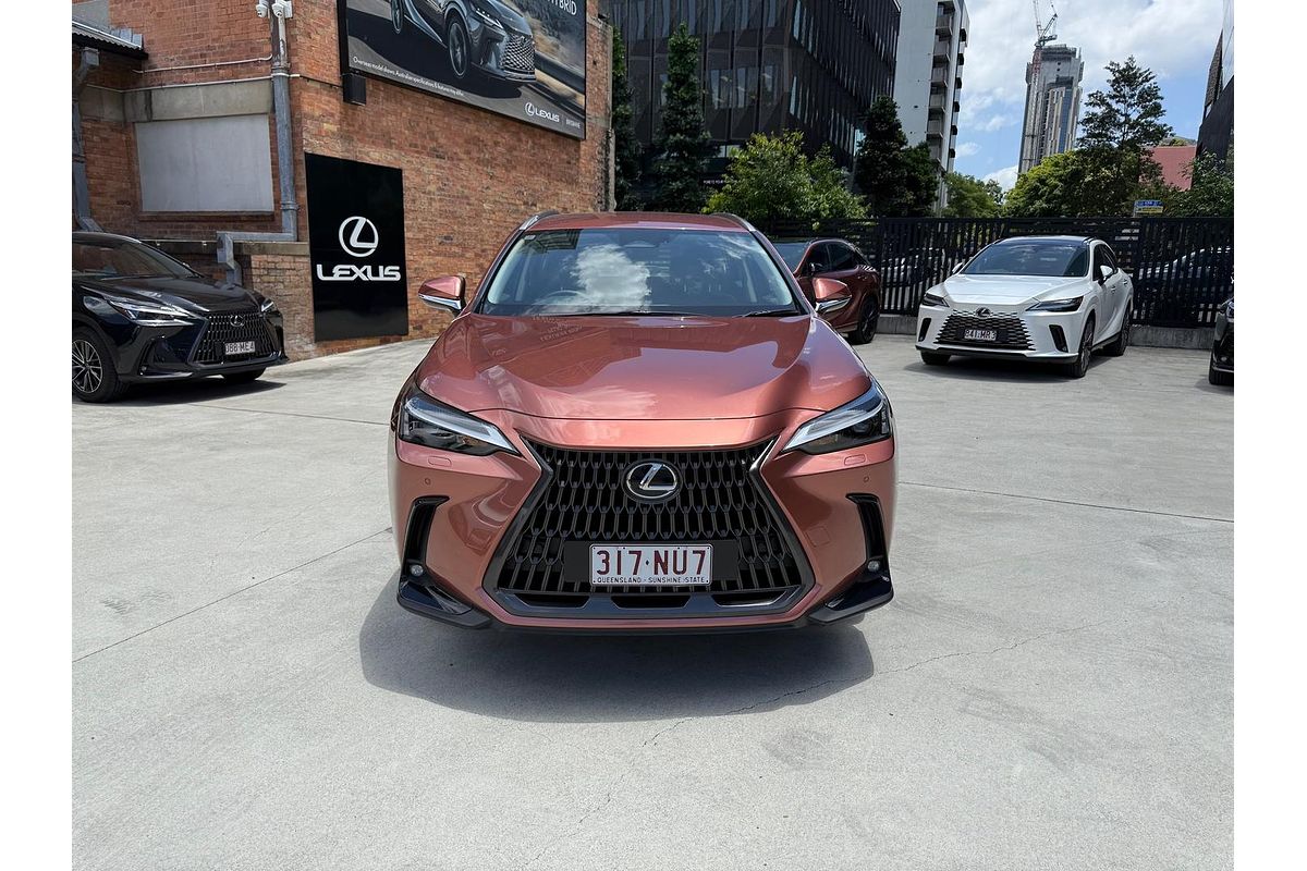 2025 Lexus NX NX250 AAZA20R