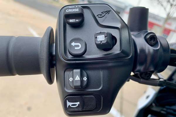 2025 Indian Scout 101 Scout