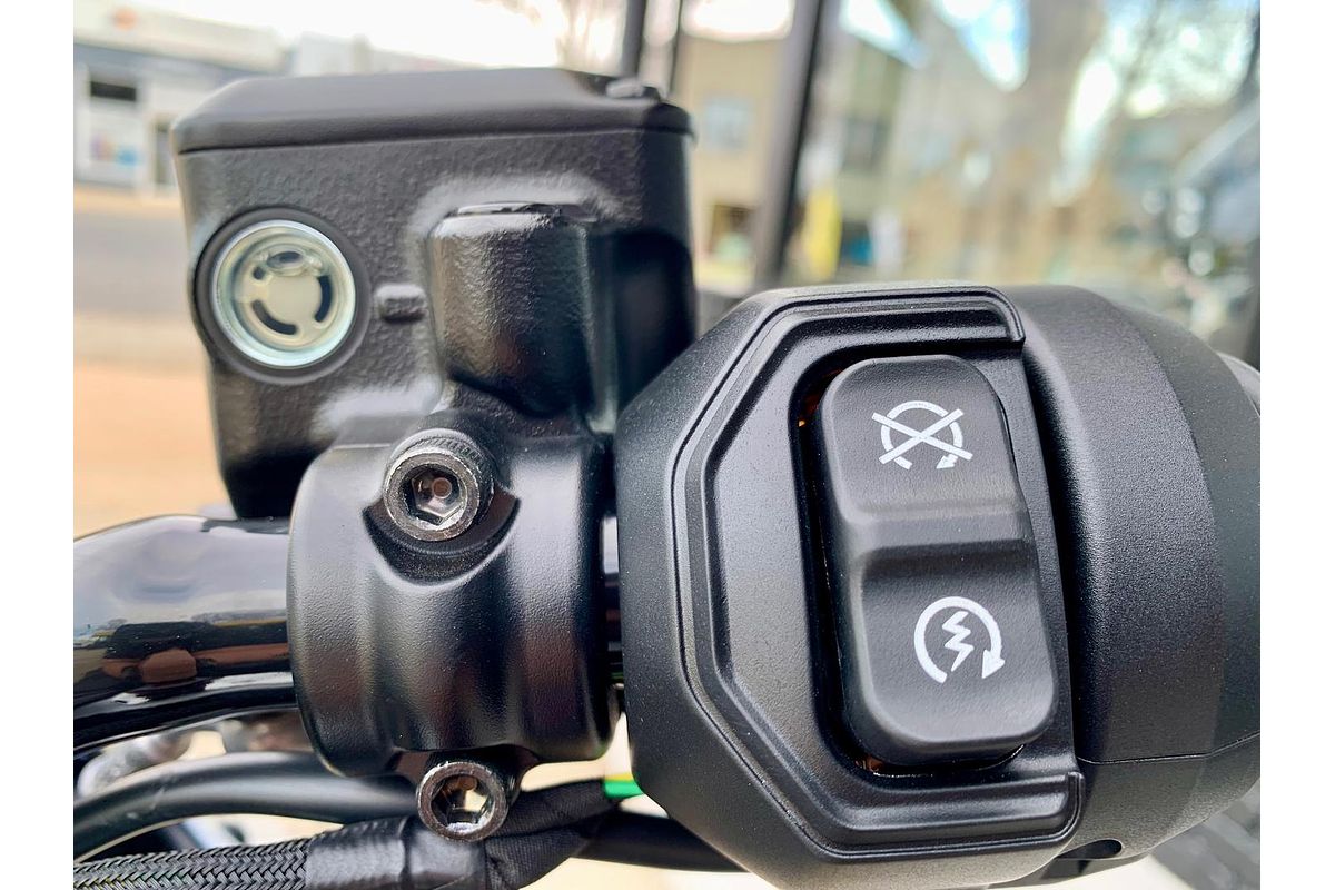 2025 Indian Scout 101 Scout