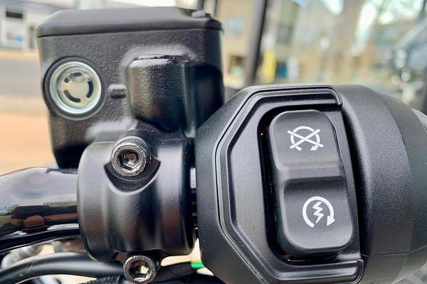 2025 Indian Scout 101 Scout