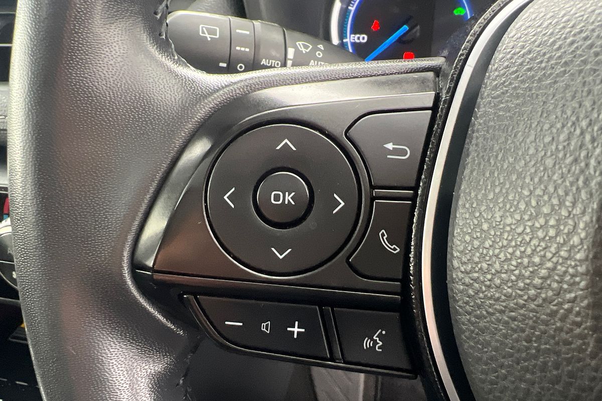 2019 Toyota RAV4 Cruiser AXAH52R