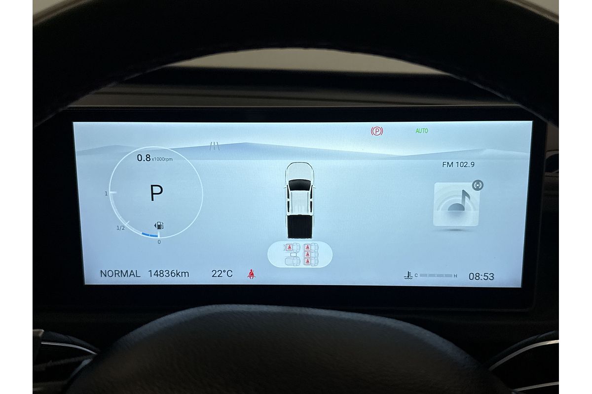 2024 LDV T60 Max PLUS SK8C 4X4