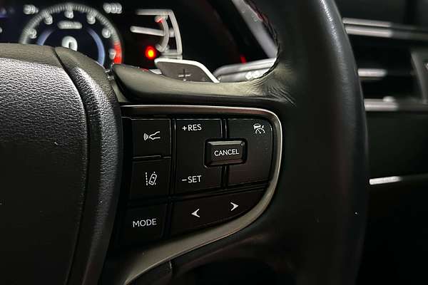 2022 Lexus ES ES250 Luxury AXZA10R