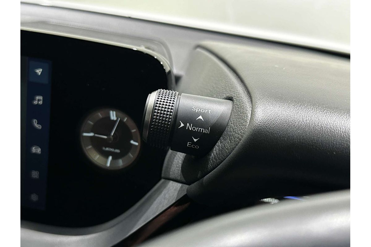 2022 Lexus ES ES250 Luxury AXZA10R