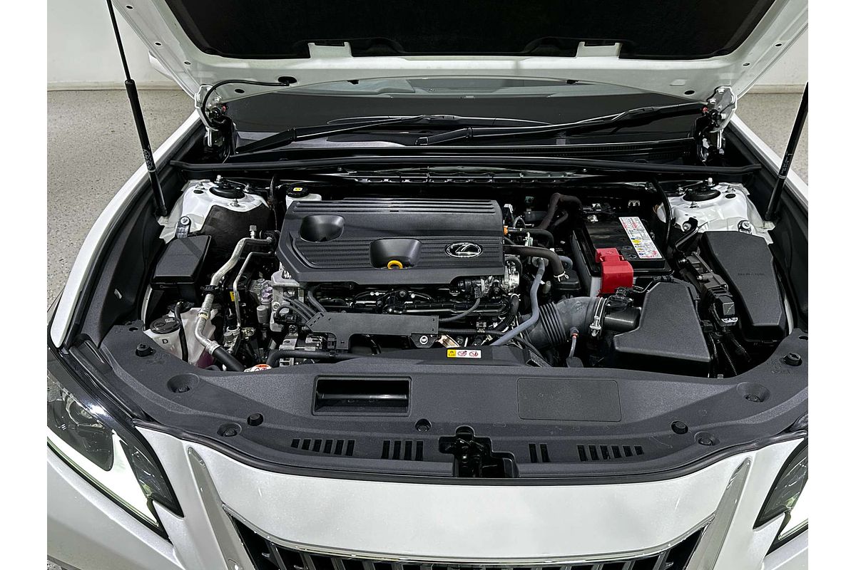 2022 Lexus ES ES250 Luxury AXZA10R