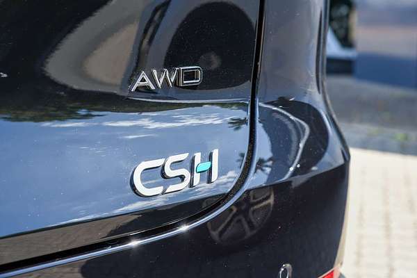 2025 Chery Tiggo 9 Super Hybrid Ultimate thumb-23