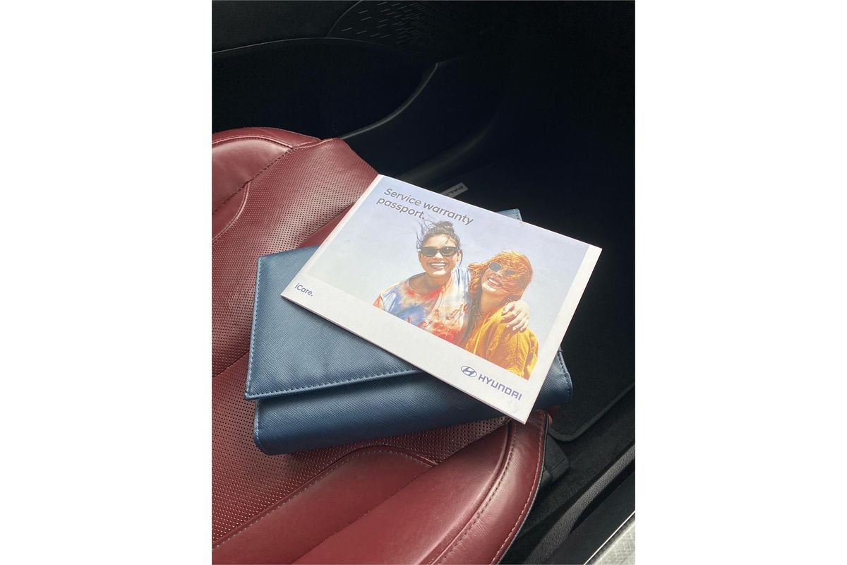 2021 Hyundai Palisade Highlander LX2.V1