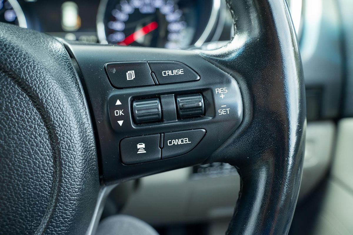 2018 Kia Carnival Platinum YP