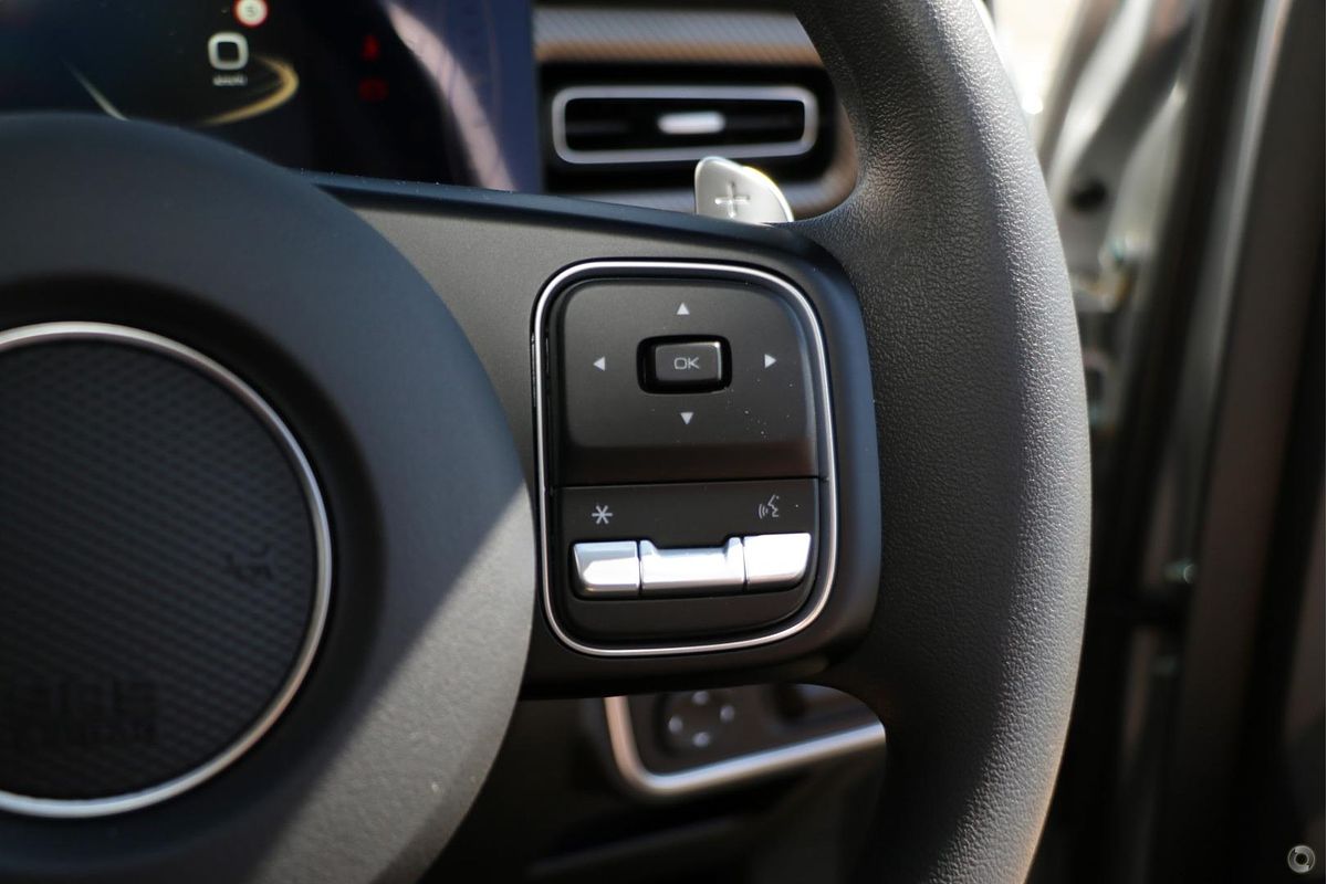 2025 GWM Cannon Premium NPW Rear Wheel Drive