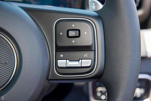 2025 GWM Cannon Lux NPW 4X4