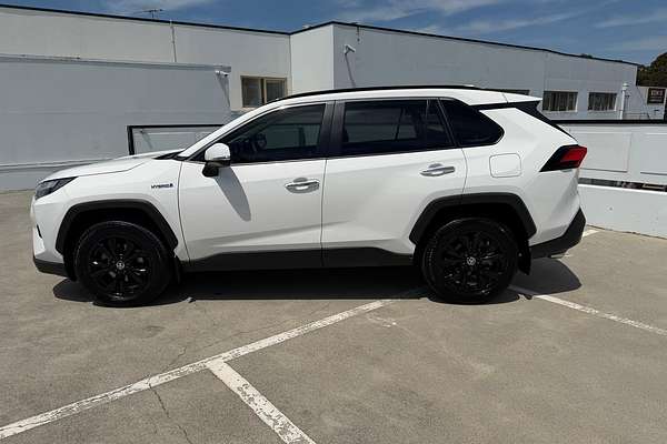 2024 Toyota RAV4 Cruiser AXAH52R