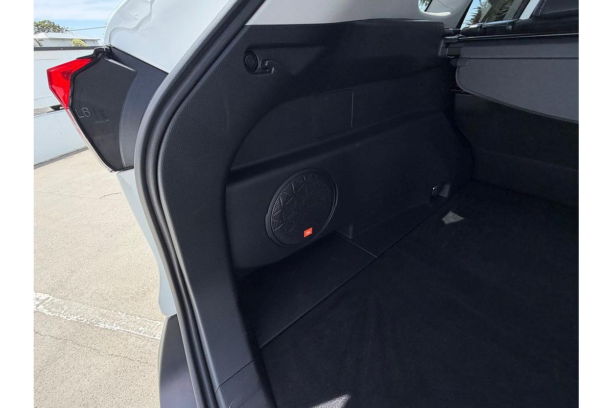 2024 Toyota RAV4 Cruiser AXAH52R