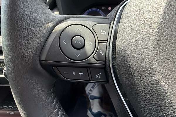 2024 Toyota RAV4 Cruiser AXAH52R