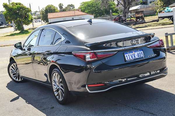 2023 Lexus ES ES300h Sports Luxury AXZH10R
