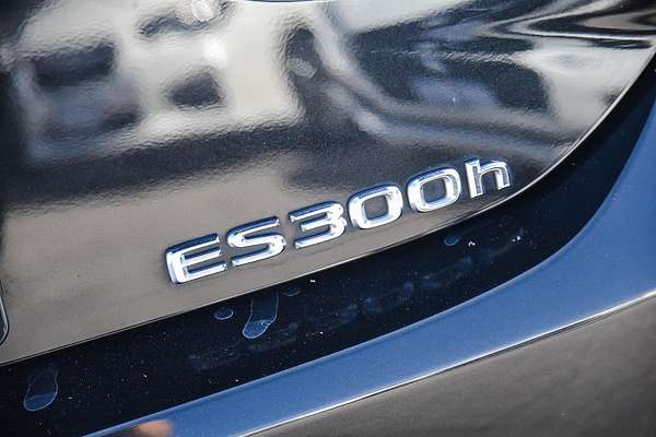2023 Lexus ES ES300h Sports Luxury AXZH10R