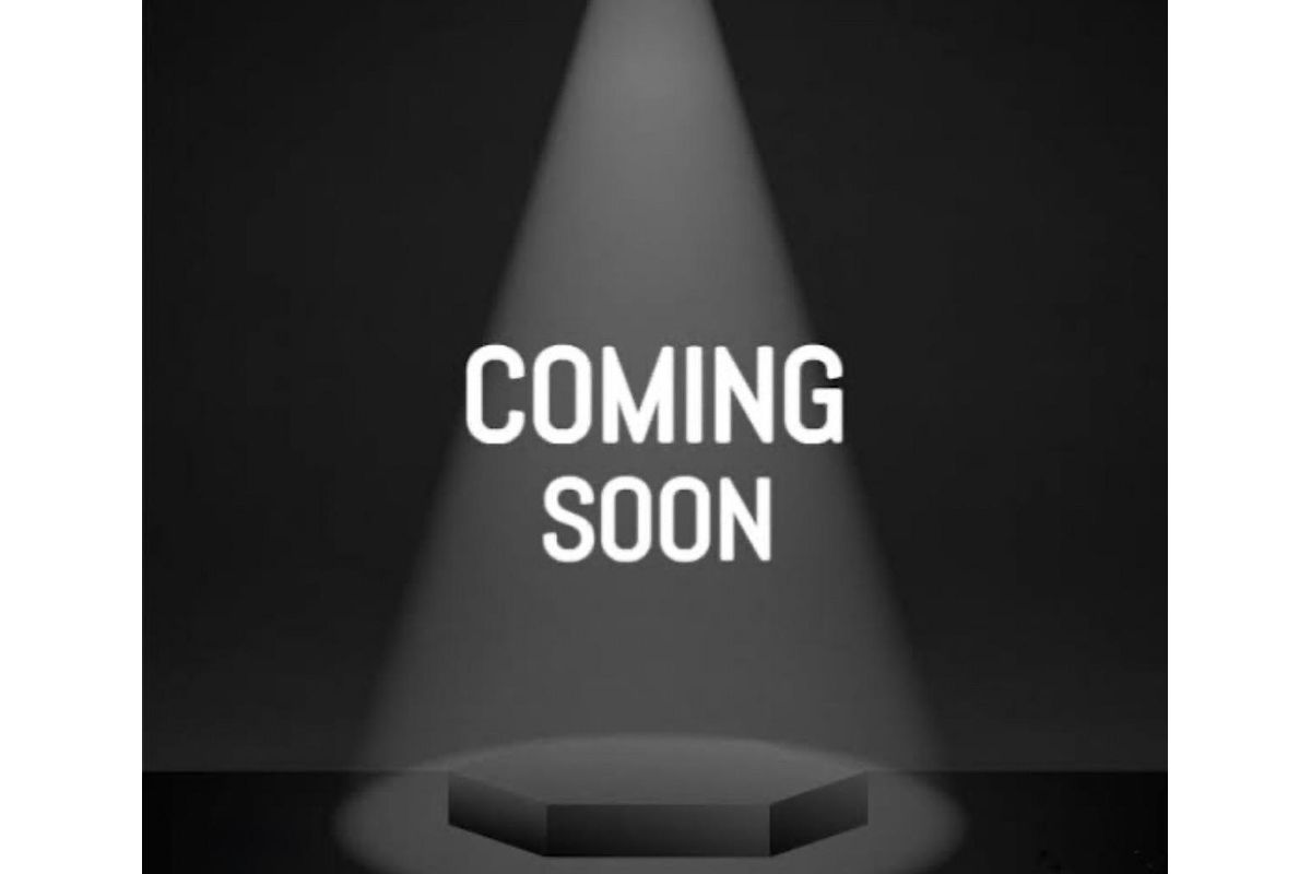 2025 Geely Starray EM-i Inspire P145