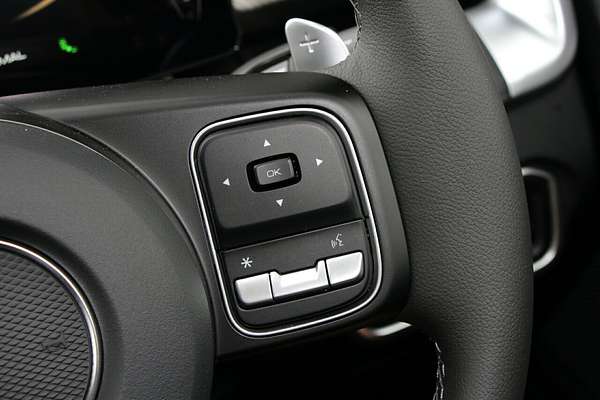 2025 GWM Cannon Premium NPW 4X4