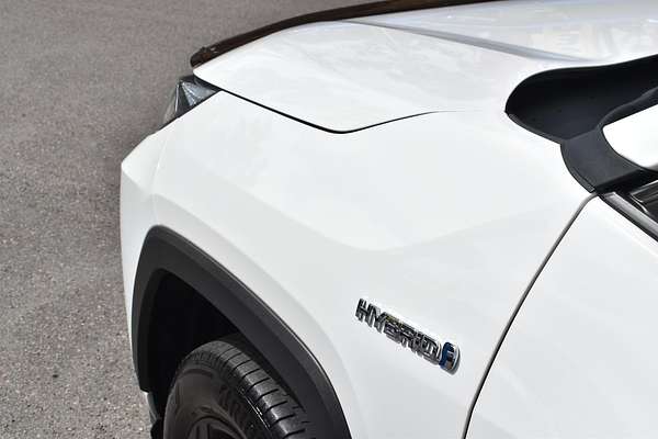 2021 Toyota RAV4 Cruiser AXAH52R