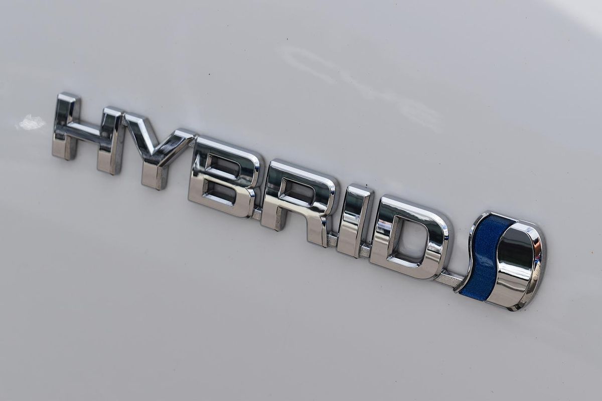 2021 Toyota RAV4 Cruiser AXAH52R