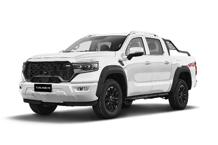 2025 Foton Tunland V9-S P4 4X4