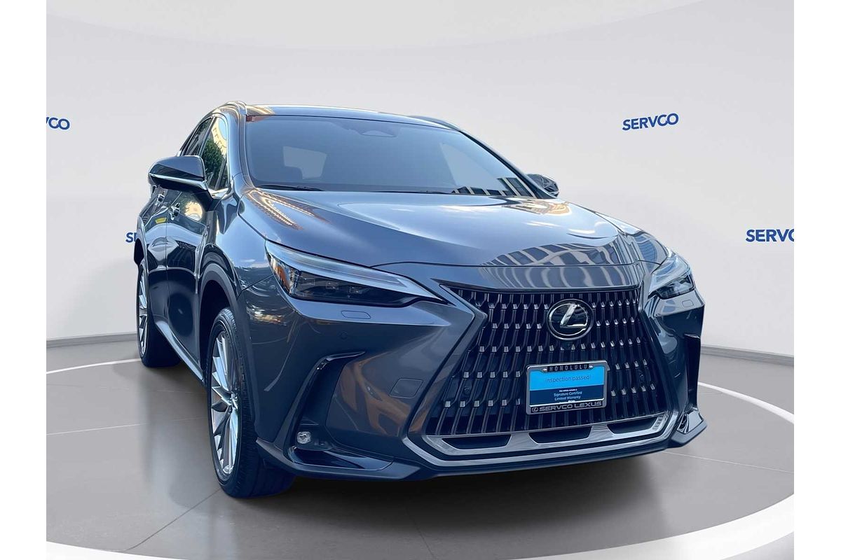 2022 Lexus NX Luxury