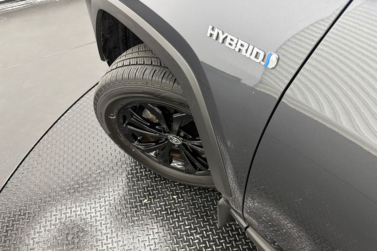 2022 Toyota RAV4 Cruiser AXAH54R