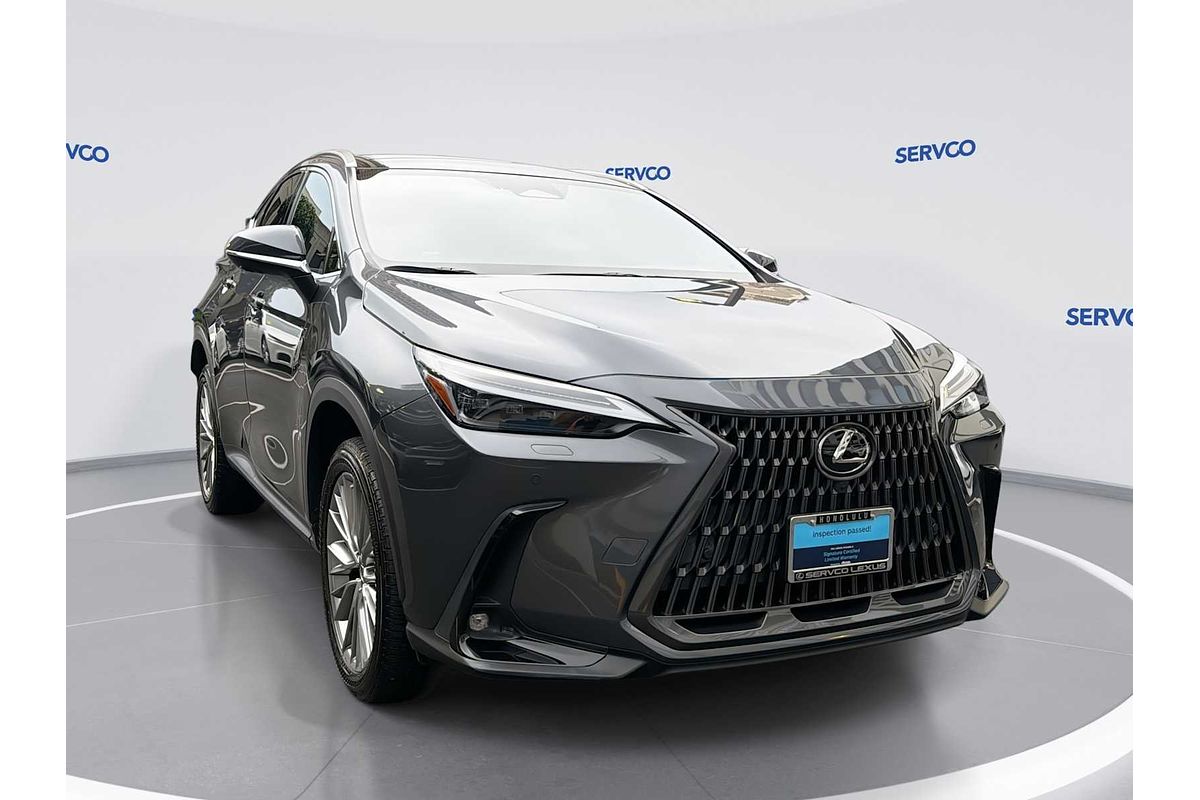 2022 Lexus NX Luxury