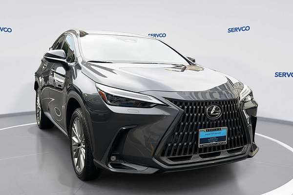 2022 Lexus NX Luxury