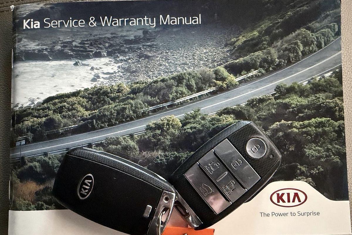 2020 Kia Carnival Platinum YP